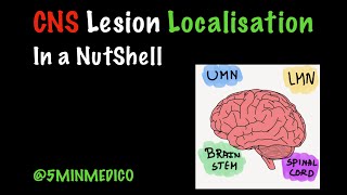 CNS Lesion Localisation in a nutshell SIMPLEST VERSION STROKE Localisation UMN LMN5MINMEDICO [upl. by King468]