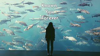 Sigrid  Known You Forever Lyrics Video [upl. by Atsahc]