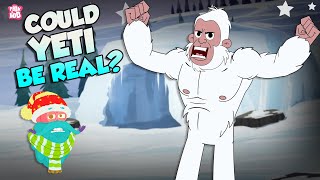 Could Yeti Be Real  The Abominable Snowman  Unveiling the Mystery of Bigfoot  Dr Binocs Show [upl. by Idnim]