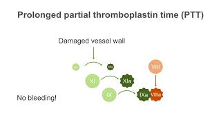 How to interpret a partial thromboplastin time PTT test [upl. by Edrei]