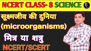 Microorganism Class 8 Friend and Foe Class 8 NCERT Science  सूक्ष्मजीव मित्र एव शत्रु [upl. by Beeson]