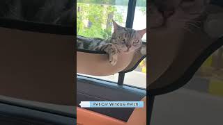 Pet Car Window Perch link is on bio cat petkit petsupplies [upl. by Kiele]