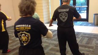 Wu Hao Tai Chi Houston students perform 3rd section 36moves [upl. by Mcgraw]