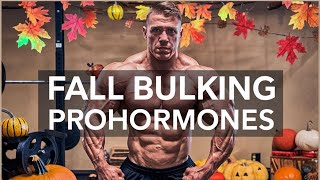 The Best Prohormones for Bulking amp Mass  Fall Edition [upl. by Nabatse]