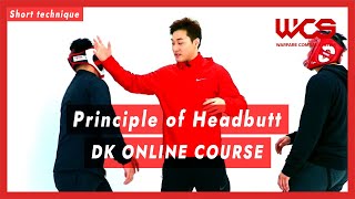 Principle of Headbutt  DK Online Course  DK Yoo [upl. by Burgener]