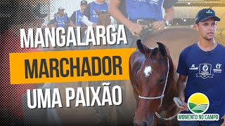 UMA PAIXÃO PELA RAÇA MANGALARGA MARCHADOR  24 [upl. by Robena]