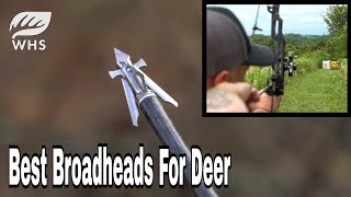 1 Broadhead For Deer Hunting [upl. by Federico]