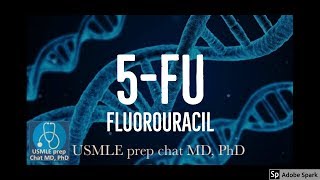 5FU Fluorouracil Mechanism of action② [upl. by Alahcim812]