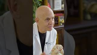 Jordan Younger Views Her Brain Scan  Dr Daniel Amen [upl. by Hamilah]