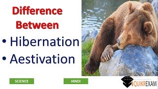 Difference Between Hibernation and Aestivation  Science  Hindi  Quikr Exam [upl. by Curley]