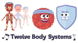 Twelve Body Systems Song [upl. by Hsejar52]