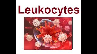 Leukocytes structure and functions  2024 [upl. by Eninaj]