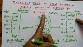 Fischer amp Haworth projection formulae for Glucose Biomolecules class 12 chemistry [upl. by Cory]