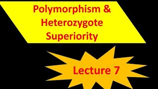 Polymorphism and heterozygote superiority  lecture 7 [upl. by Alfons]