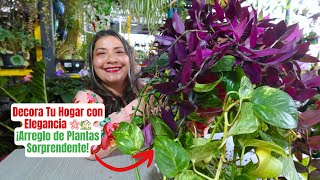 Transforma Tu Casa con Este Arreglo de Plantas Sorprendente [upl. by Ashly]