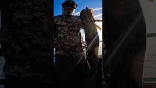 LINGCOD Fishing in Washington 🎣 pnw fishing [upl. by Bascio]