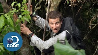 Bear Grylls in Borneo Jungle  Man vs Wild 16 [upl. by Ynnattirb]