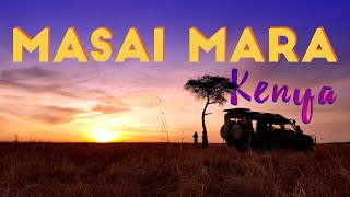 Masai Mara National Reserve  Safari Adventure in Kenya [upl. by Readus]