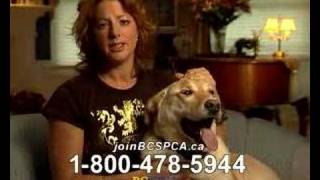 Sarah McLachlan Animal Cruelty Video [upl. by Johiah]