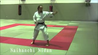 Naihanchi Shodan Nidan and Sandan  Ryukyu Shorin Ryu Karate Do Tesshinkan [upl. by Nalyorf]