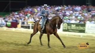 Francisco Díaz Rodríguez con Heno Fo 2150 en el Campeonato de Andalucía 2017 [upl. by Obel456]