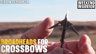 Which Broadhead You Should Use With Your Crossbow [upl. by Deonne]