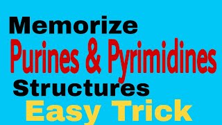 Purine amp Pyrimidine Structures  Easy way to memorize [upl. by Amora]