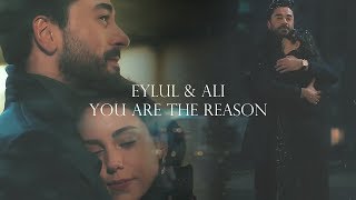 Ali amp Eylül  You Are The Reason  Kalp Atışı [upl. by Ramses898]