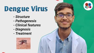 Dengue fever  Dengue shock syndrome  Arbovirus  Microbiology bangla lecture [upl. by Ainesej]