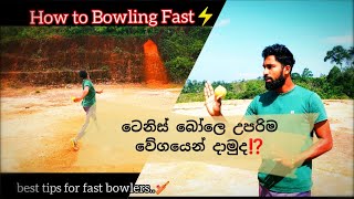 How to bowl fast ⚡ උපරිම වේගයෙන් පන්දුවක් යවන ආකාරය 💥 tennis ball speed up Tips cricket bowling [upl. by Foscalina]