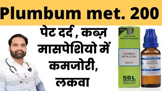 Plumbum metallicum 200 benefits in hindi  Plumbum metallicum 30  200 homeopathic uses in hindi [upl. by Matteo784]