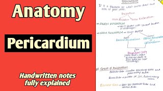 Pericardium  Anatomy  By Namita Ussara [upl. by Yattirb]