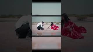 Love story part 8 shortvideo love lovesongs wedding bestcopulevideos lovelycopule [upl. by Wilmer]