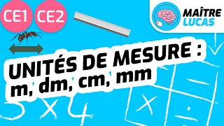 Unités de mesure  m dm cm mm CE1  CE2  Cycle 2  Mathématiques  Grandeurs et mesures [upl. by Yeznil]