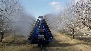 Liquid Pollen Application in Almond [upl. by Nairrad871]