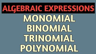 Types of algebraic expressions  monomial binomial trinomial and polynomial class 7 chapter 12 [upl. by Nylesaj]