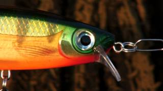 Jan Porter talks about the Rapala BX Jointed Swimmer [upl. by Melinda]