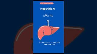 Why Hepatitis A is Spreading shorts hepatitis youtubeshorts [upl. by Anaer]