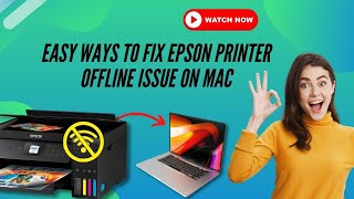 Easy Ways to Fix Epson Printer Offline Error on MAC epson printer mac [upl. by Aneetsirk257]