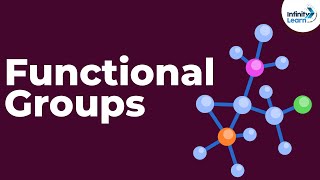 Introduction to Functional Groups  Dont Memorise [upl. by Innes603]