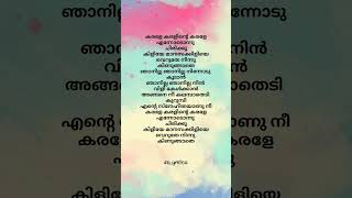 Karale Karalinte karaletrendingmalayalamlyricswhatsappstatusshortsyoutubeshortsyoutubefeed [upl. by Nylssej870]