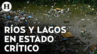 ¡La mitad de los ríos lagos y lagunas de México están contaminados Aseguró así la CONAGUA [upl. by Tneciv]