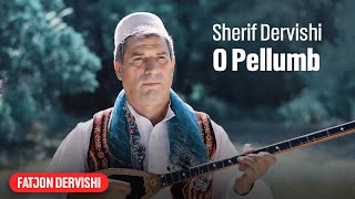 Sherif Dervishi  O pellumb [upl. by Nelag]