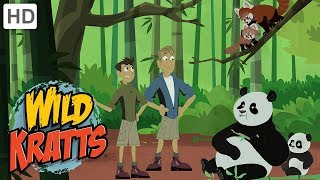 Wild Kratts  Wildlife Superheroes [upl. by Ocirema]