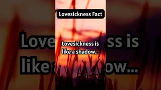 Lovesick Is Like a Shadow shorts lovesick [upl. by Jeddy]