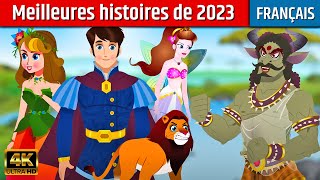 Contes de fées au Coucher  Histoire en Français  Histoire Pour Sendormir  Histoire Pour Dormir [upl. by Vada287]