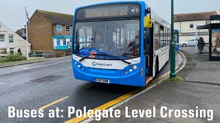 Buses at Polegate Level Crossing 28052024 [upl. by Brenden611]