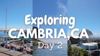 Exploring Cambria VLOG Day 2 Kayaking Morro Bay [upl. by Eilsil954]