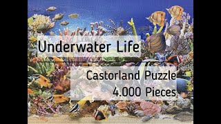 Doing the 4000 Pieces Jigsaw Puzzle quotUnderwater Lifequot by Castorland a Time Lapse Video [upl. by Carlina]