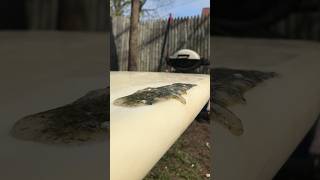 Surfboard repair gone wrong Destroys surf board exothermic surfboard repair resin epoxy [upl. by Aitetel242]